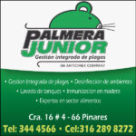 Palmera Junior Eje Cafetero S.A.S