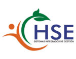 HSE Servicios Integrados de Gestión