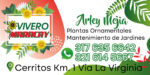 Vivero Maracay