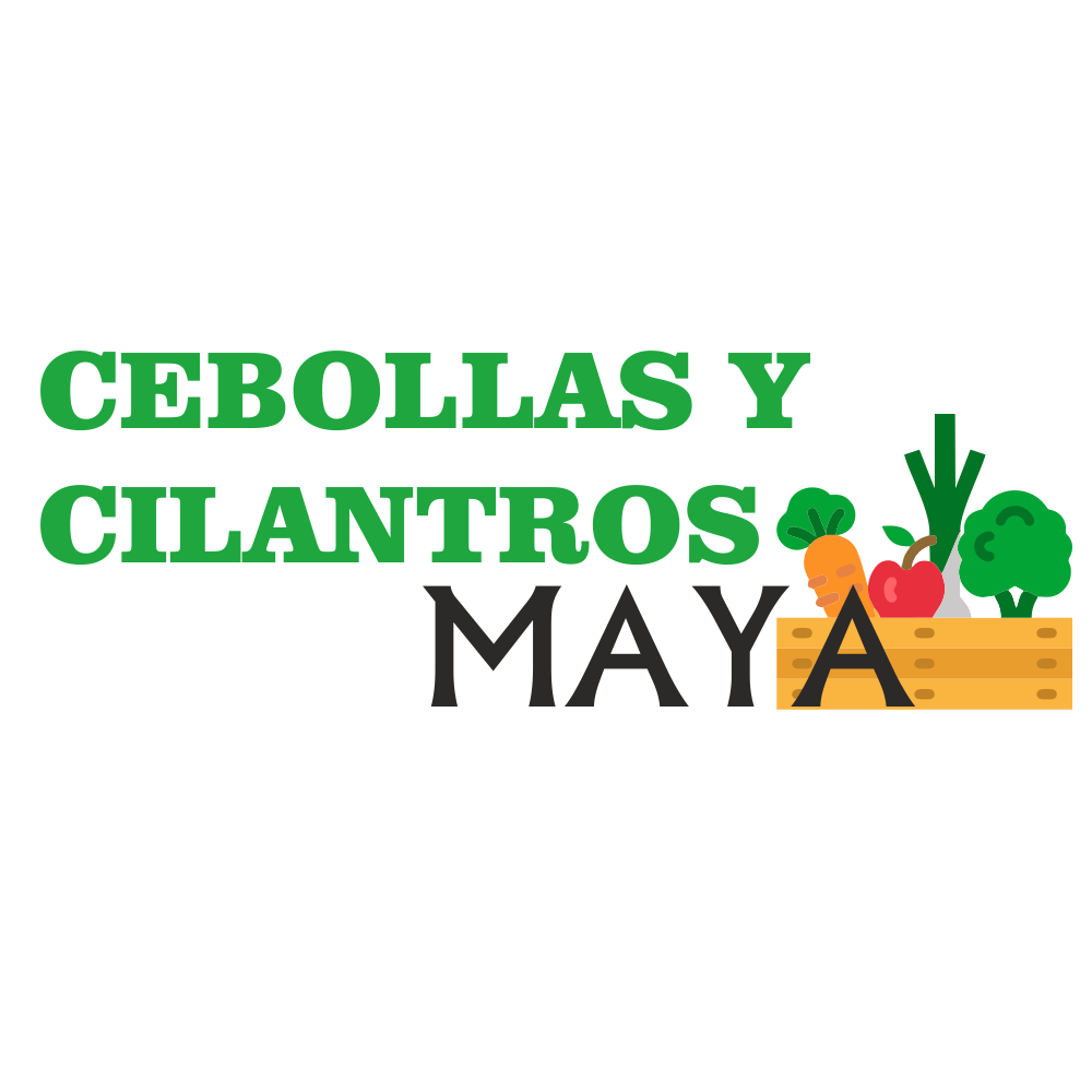 Cebollas y Cilantros Maya