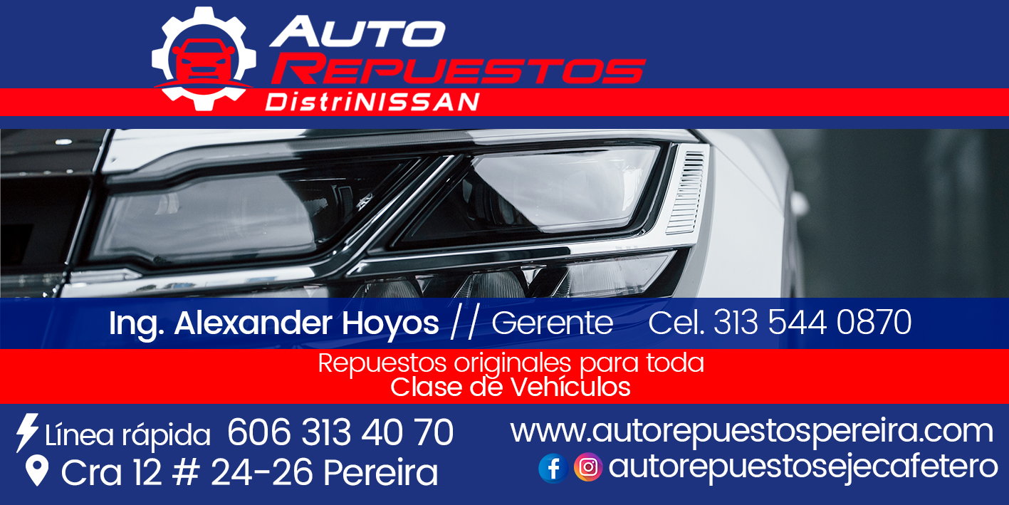 AUTO REPUESTOS DISTRINISSAN