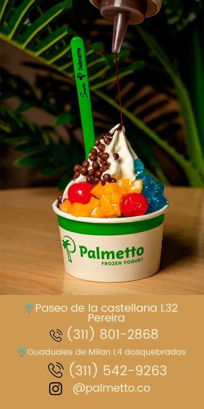 Palmetto Frozen Yogurt