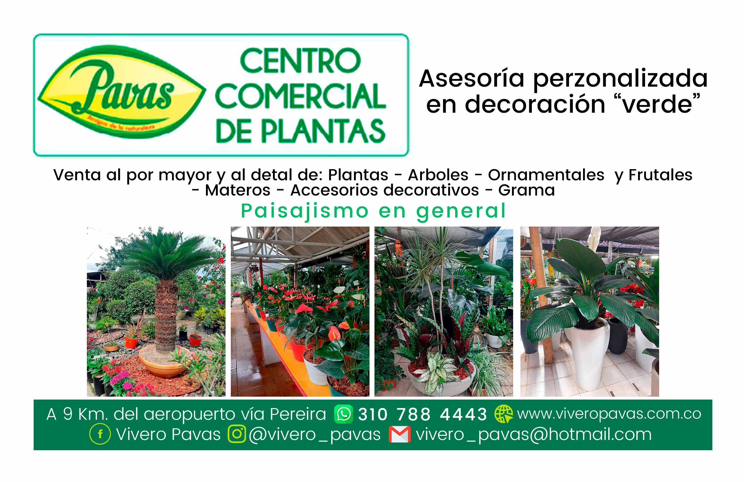 PAVAS CENTRO COMERCIAL DE PLANTAS