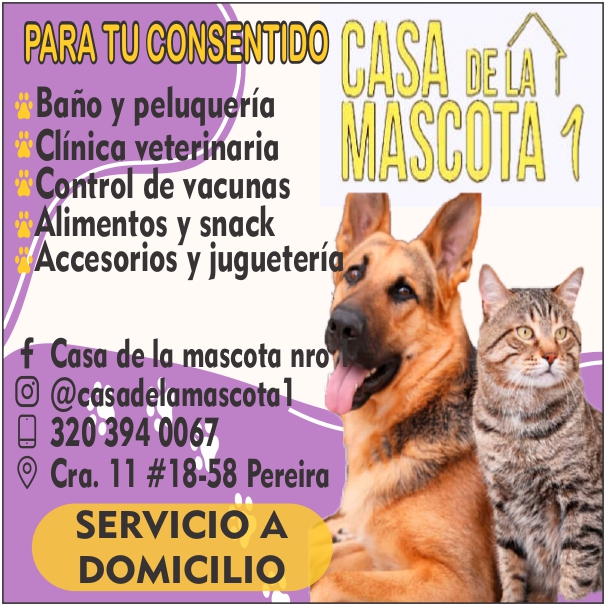 Casa De La Mascota