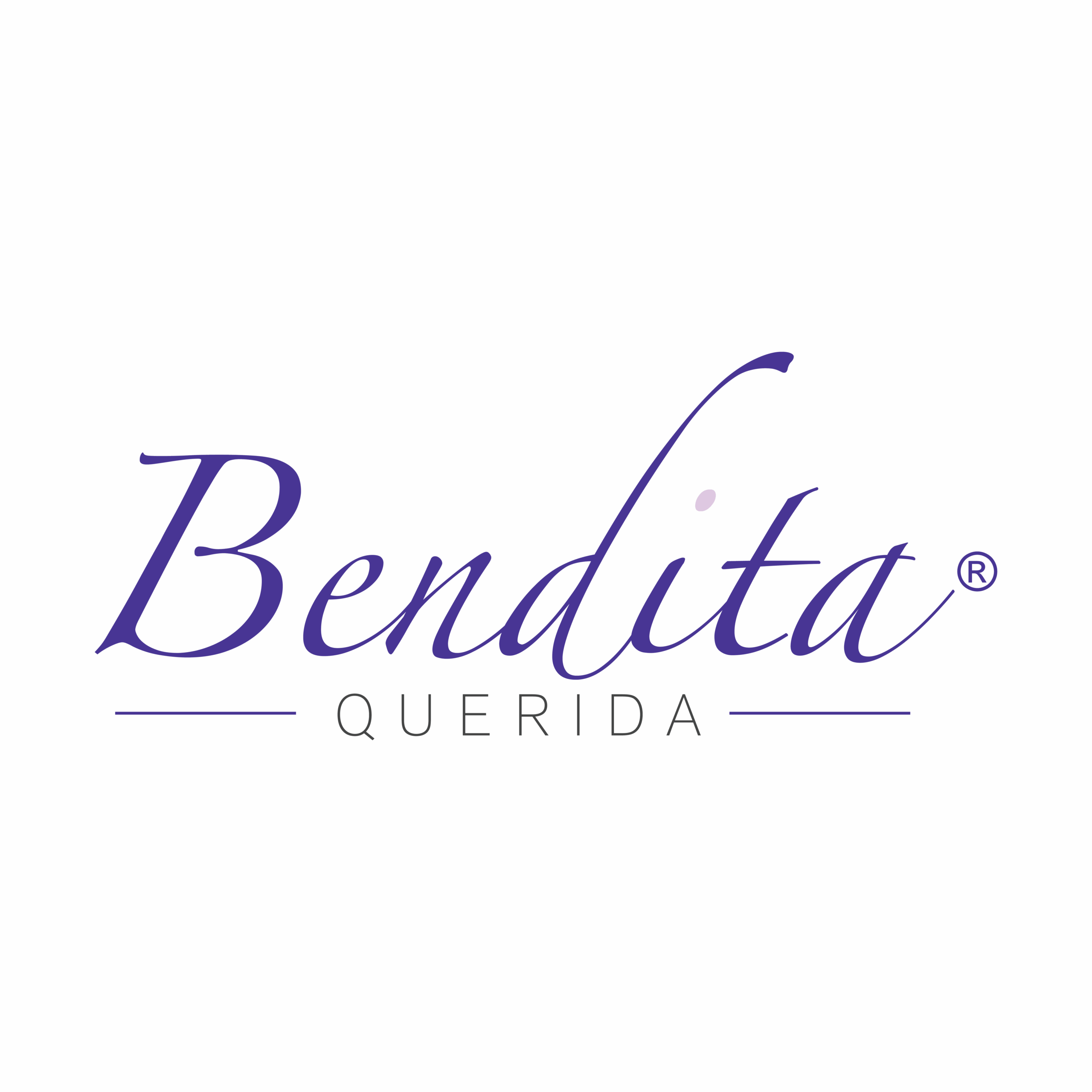 Bendita Querida s.a.s.