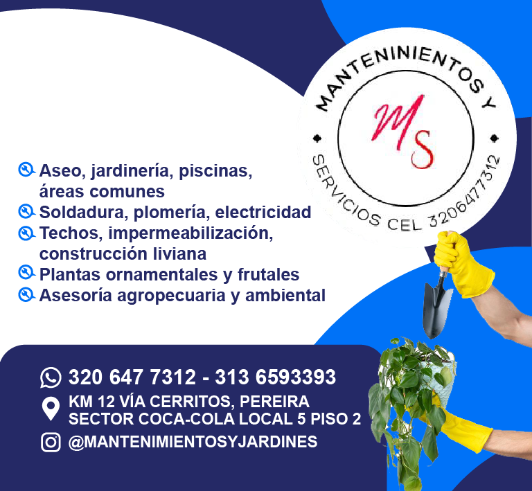 Mantenimientos y Servicios S.A.S