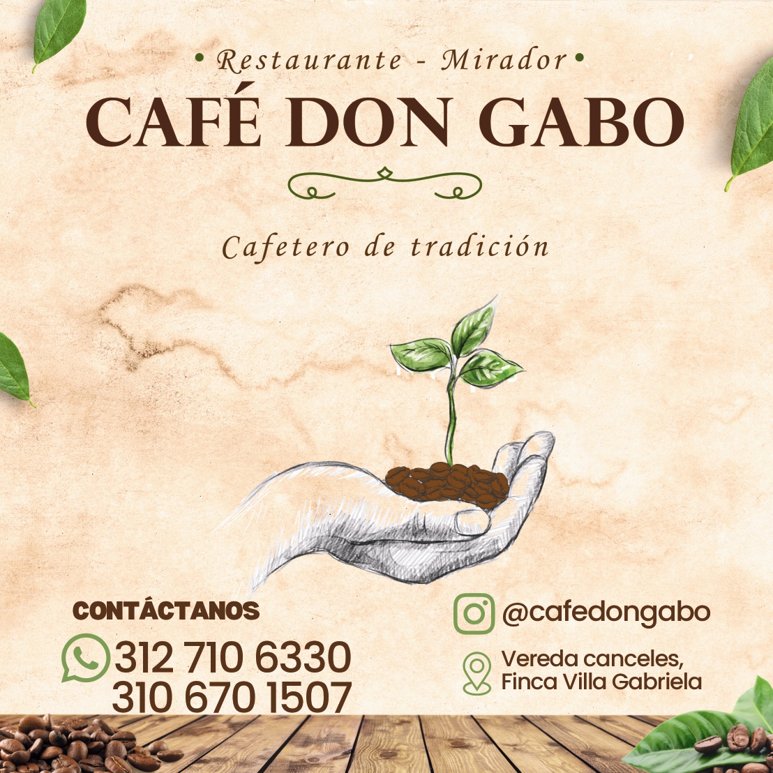 CAFÉ DON GABO