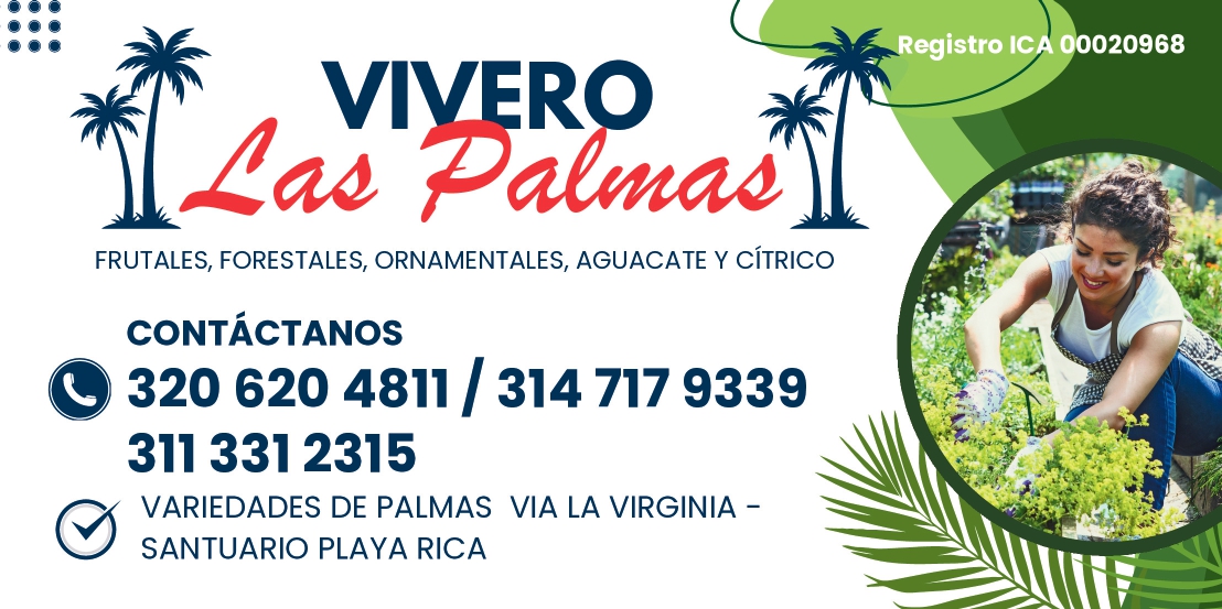 VIVERO LAS PALMAS