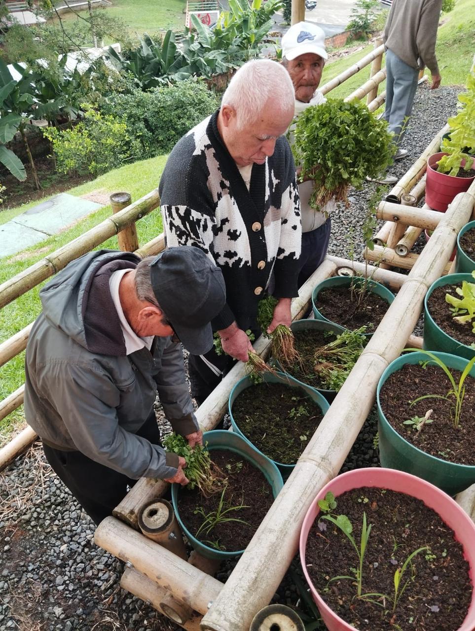 FUNDACIÓN ARCA DE NOÉ HOGAR GERIÁTRICO